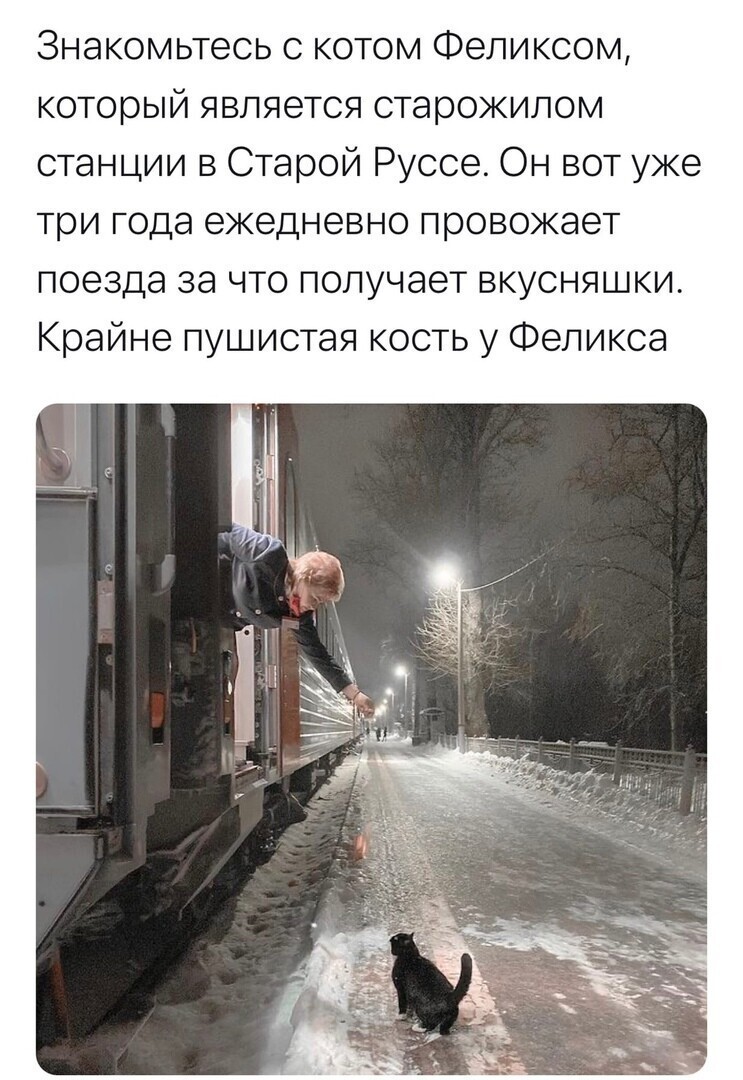 О политике и не только