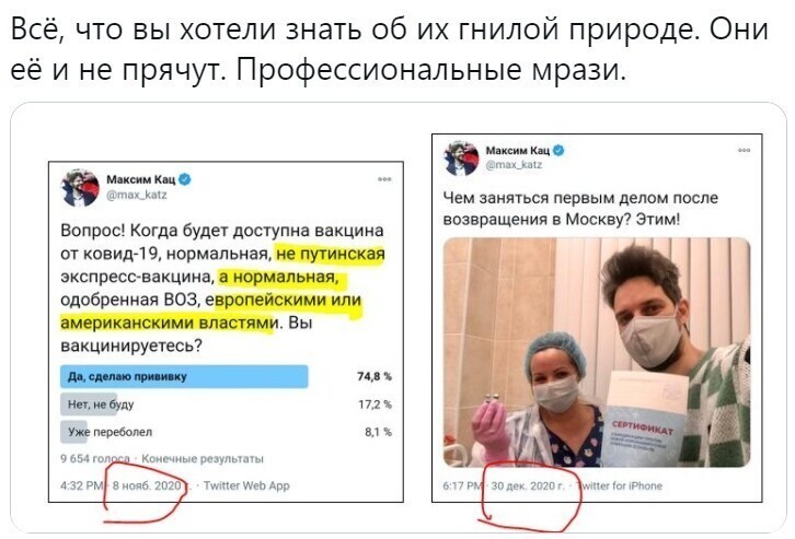 О политике и не только
