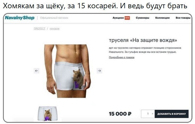 О политике и не только