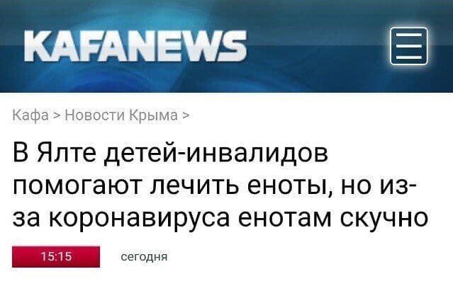 Ничего, будет и на улице енотов праздник!