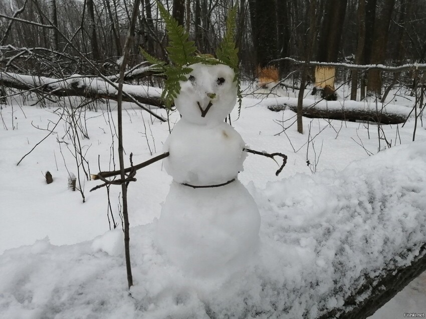 Снеговик-лесовик