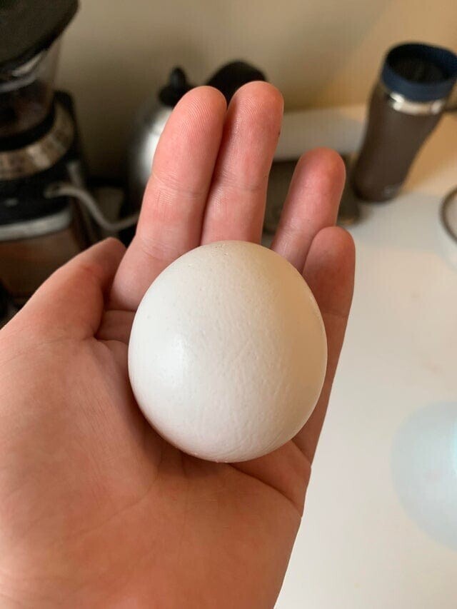3. Круглое яйцо