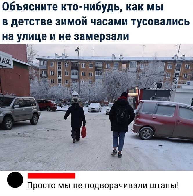 Смешные и познавательные картинки