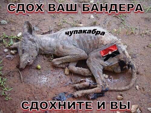 Политические комментарии и другой разный юмор с сарказмом и без