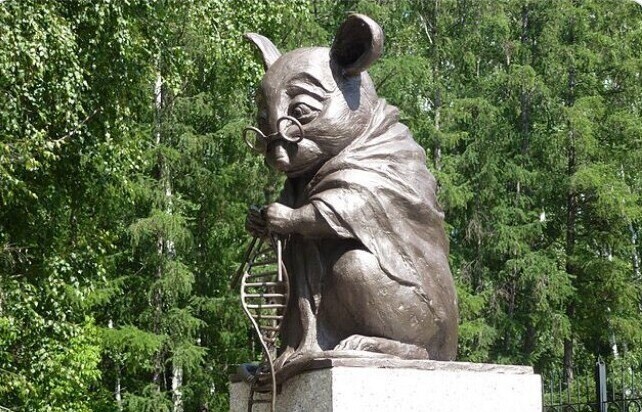 1. В России есть памятник лабораторной мыши. Он находится в Новосибирском академгородке