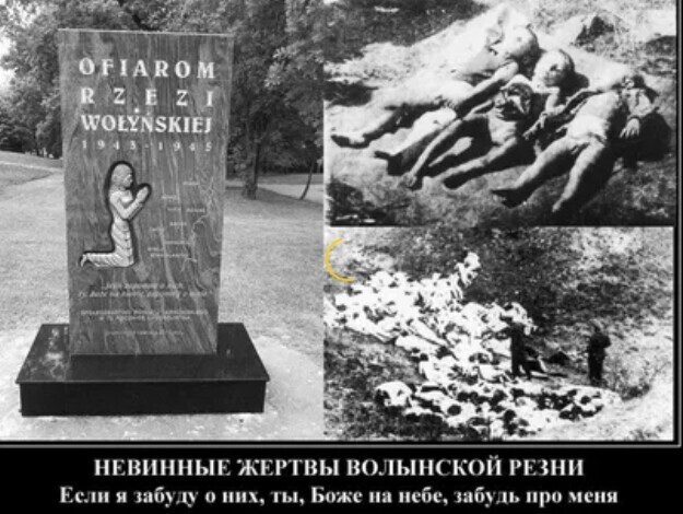 Польский историк обвинила Киев в культивировании культа геноцида