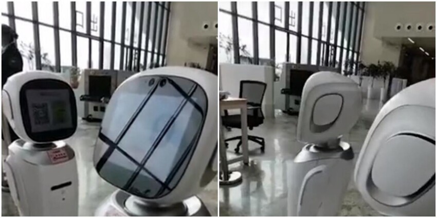 "Ну что ты начинаешь?": роботы в китайской библиотеке затеяли ссору