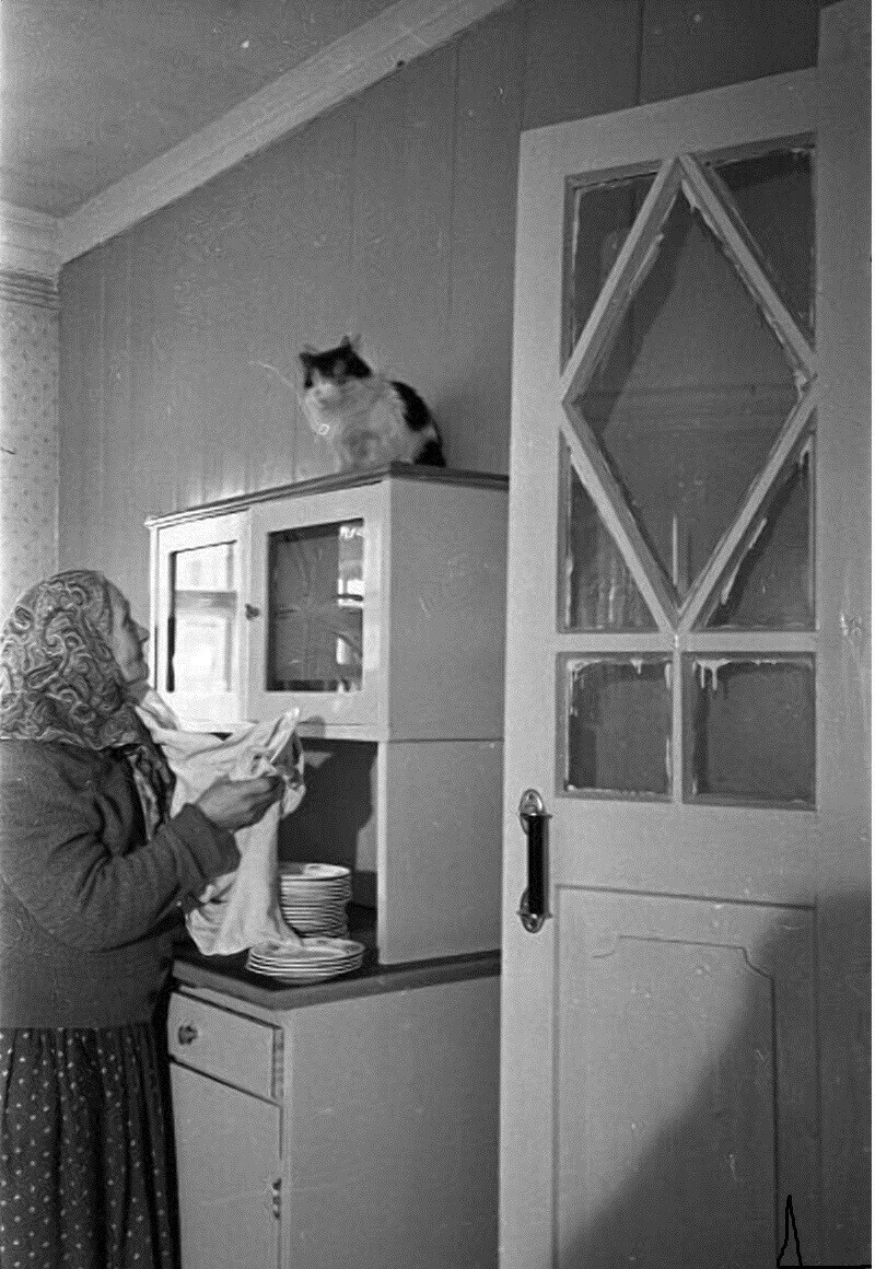 «Квартиру дали!»: фотографии одного из самых счастливых моментов в жизни советского человека