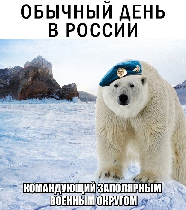 Политические скрины