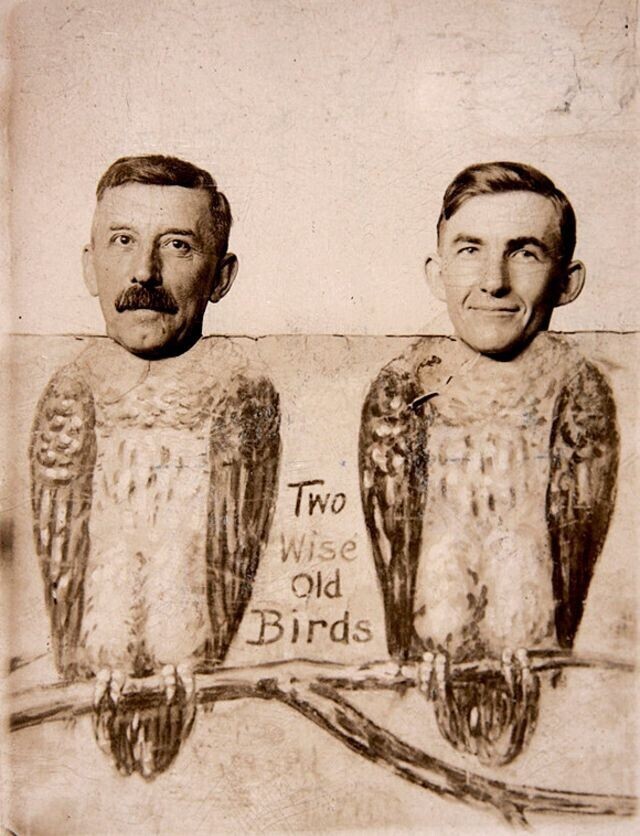 Две старые мудрые птицы