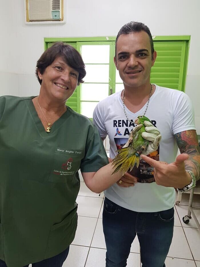 Спасенному попугаю подарили новый клюв
