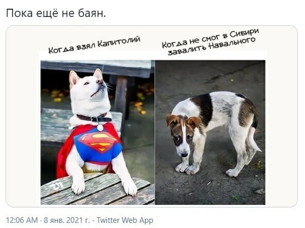 О политике и не только