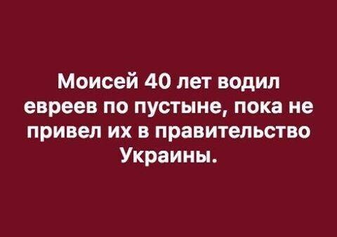 О политике и не только