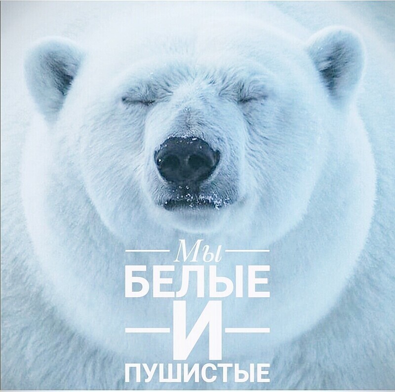 О политике и не только