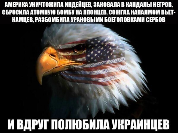 О политике и не только