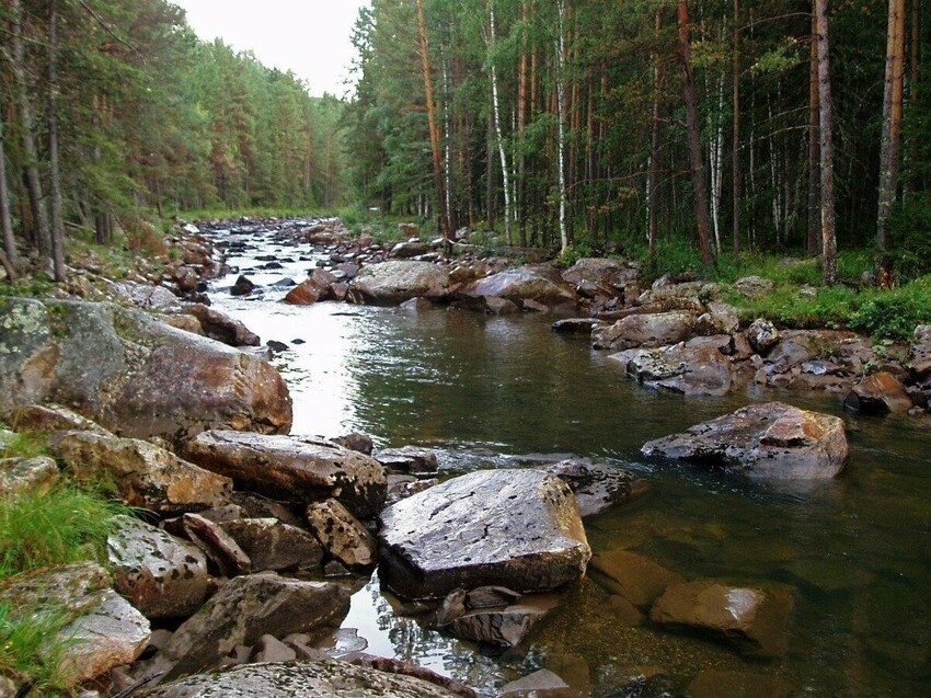 Горная река Юрюзань в лесу