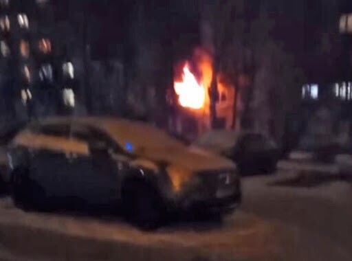 Петербурженка при пожаре выбросила из окна кота и дочь