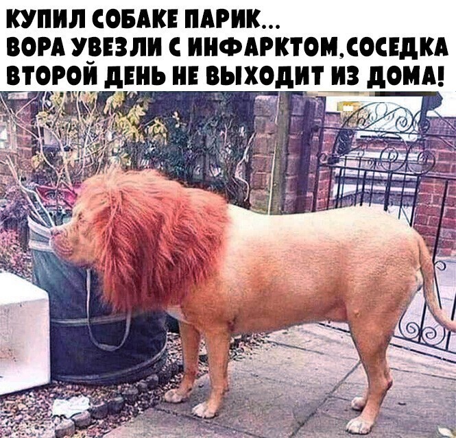 Смешные и познавательные картинки