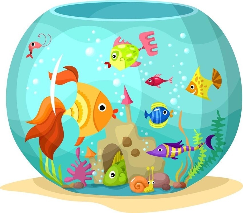 Что делать, когда в аквариуме пенится вода: причины проблемы и способы борьбы