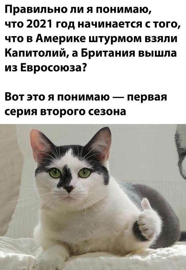 Намешалось