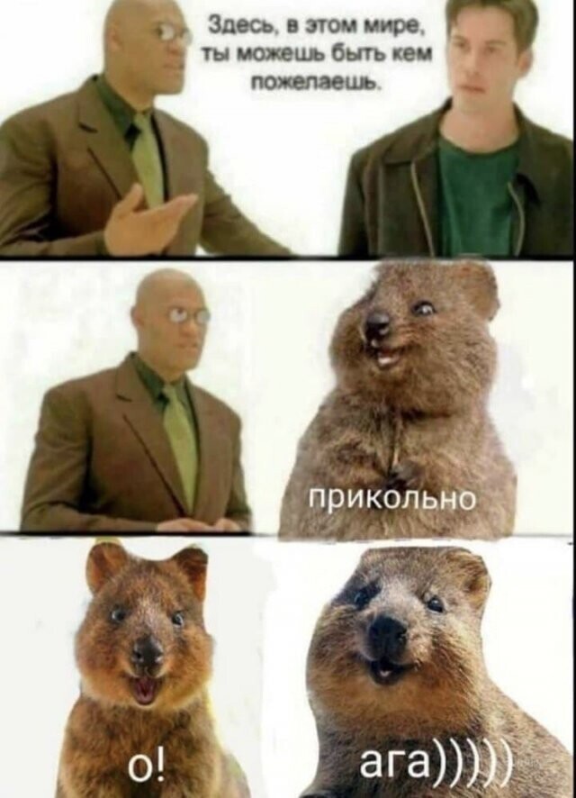 Намешалось