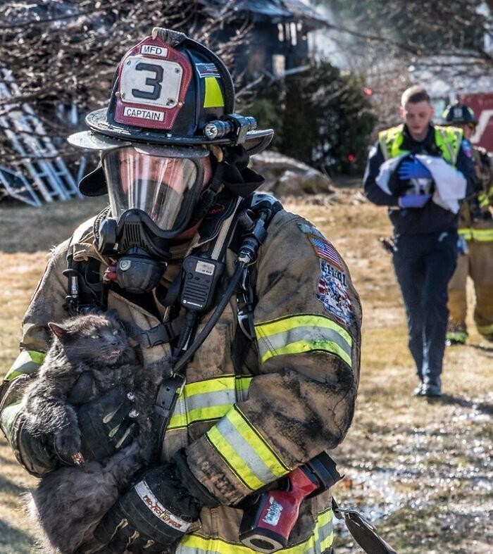 Пожарный спасает котенка из пожара