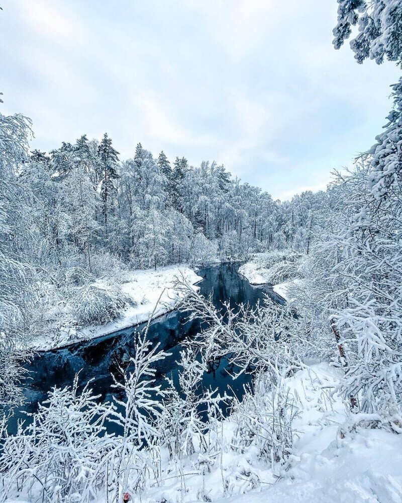 Снежная сказка в Линдуловской роще
