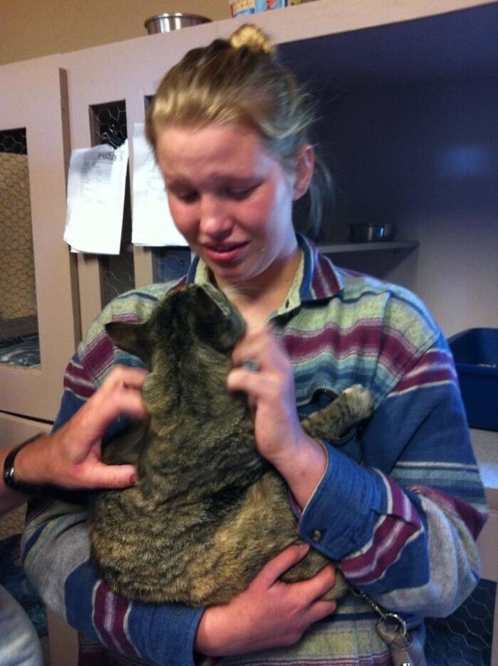 Женщина зашла в приют, и случайно встретила там своего кота, который пропал год назад"