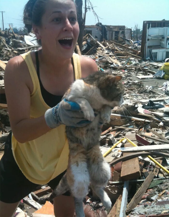 Женщина нашла свою кошку через 16 дней после торнадо