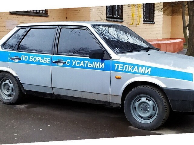 Автовсячина