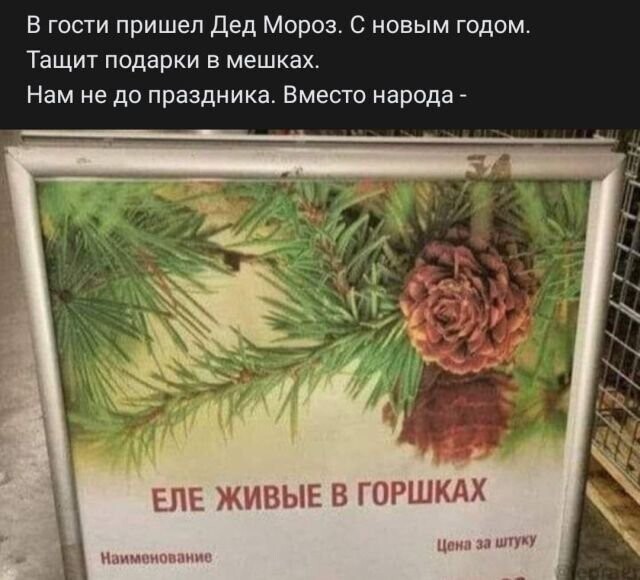 Рифмы из соцсетей