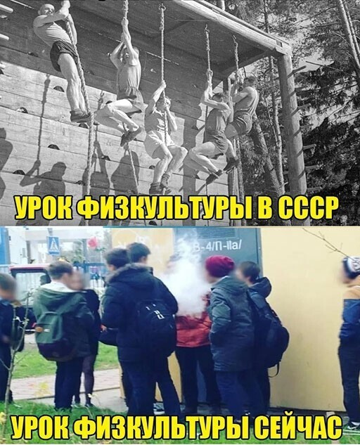 Смешные и познавательные картинки