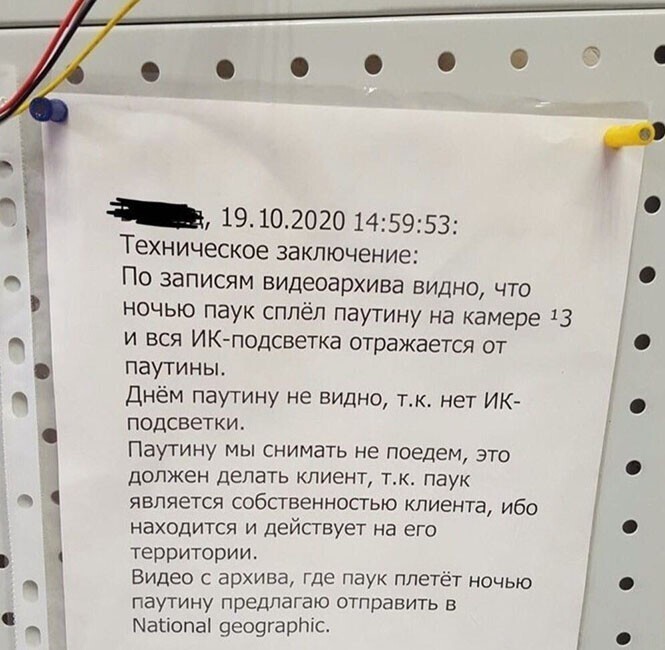 Смешные и познавательные картинки