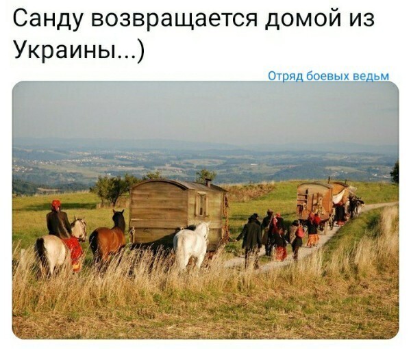 Политические комментарии и другой разный юмор с сарказмом и без = 2