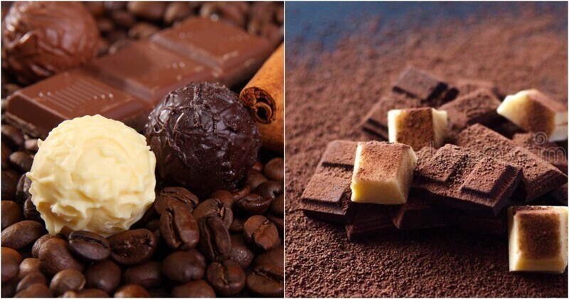 20 фактов о шоколаде, о которых вы, возможно, не догадывались