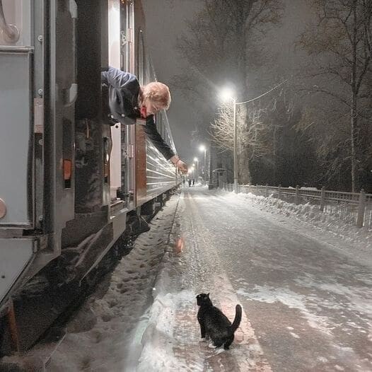 Каждый вечер ровно в 22:40 кот приходит на перрон и ждёт прибытия поезда… И так уже несколько лет!