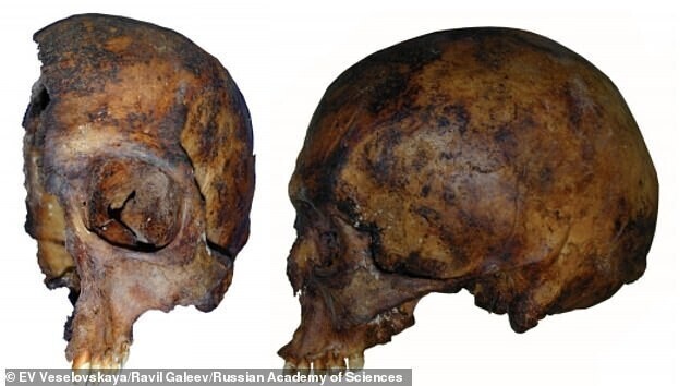 Как выглядели "сибирский Тутанхамон" и его наложница: реконструкция внешнего облика по черепу