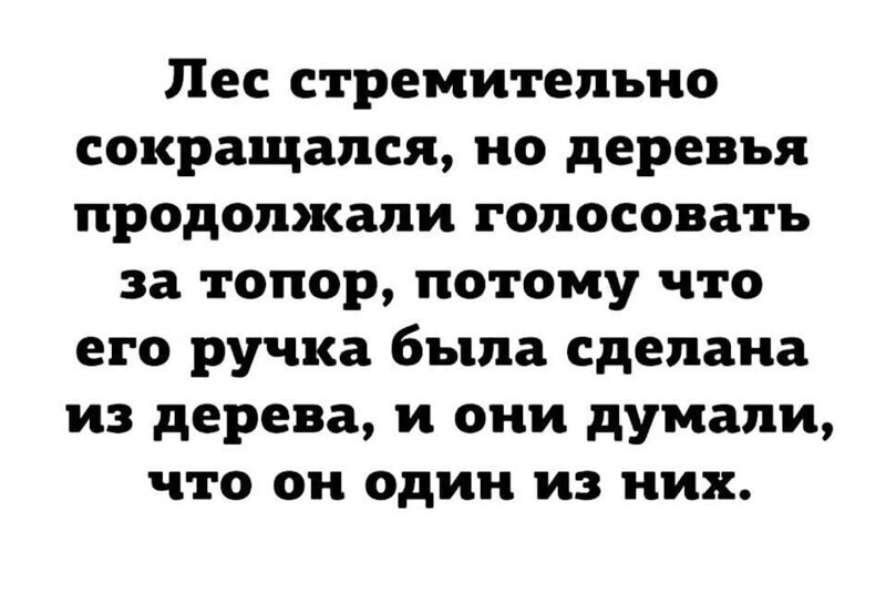 Продолжаем голосовать!