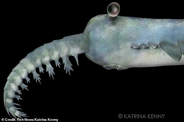 Ученые рассказали о странном морском чудовище, жившем 500 млн лет назад