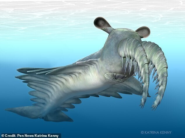Ученые рассказали о странном морском чудовище, жившем 500 млн лет назад