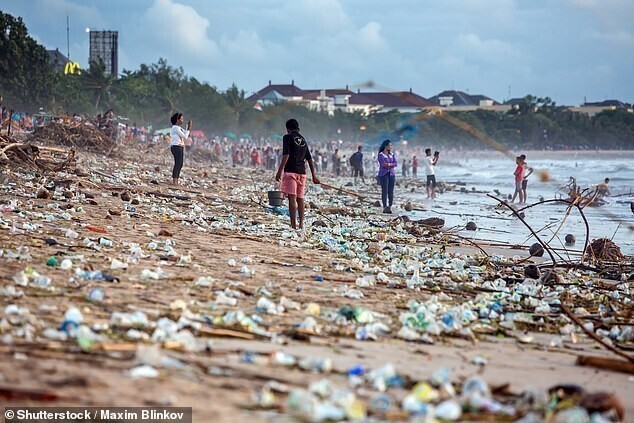 Морская трава поможет очистить океан от пластика