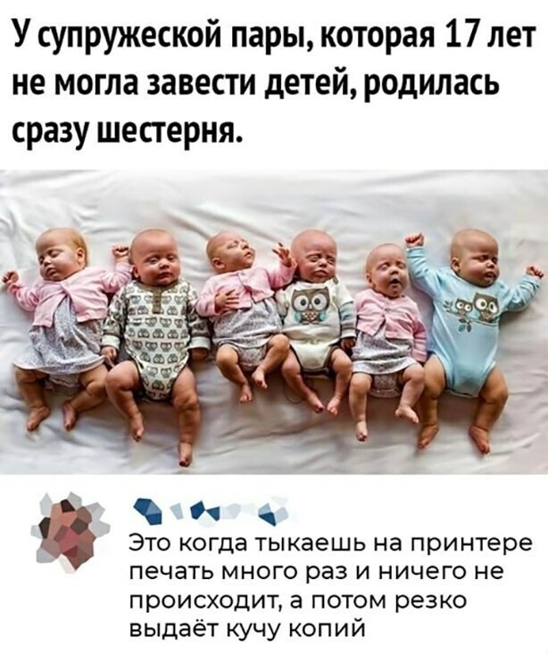 Смешные и познавательные картинки