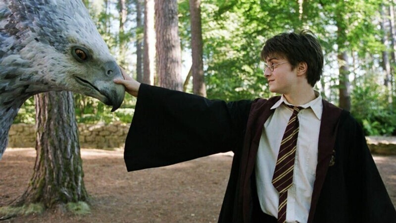 25 фактов о мире Гарри Поттера, которые знает настоящий фанат