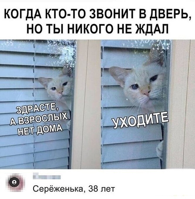 Скрины из соцсетей