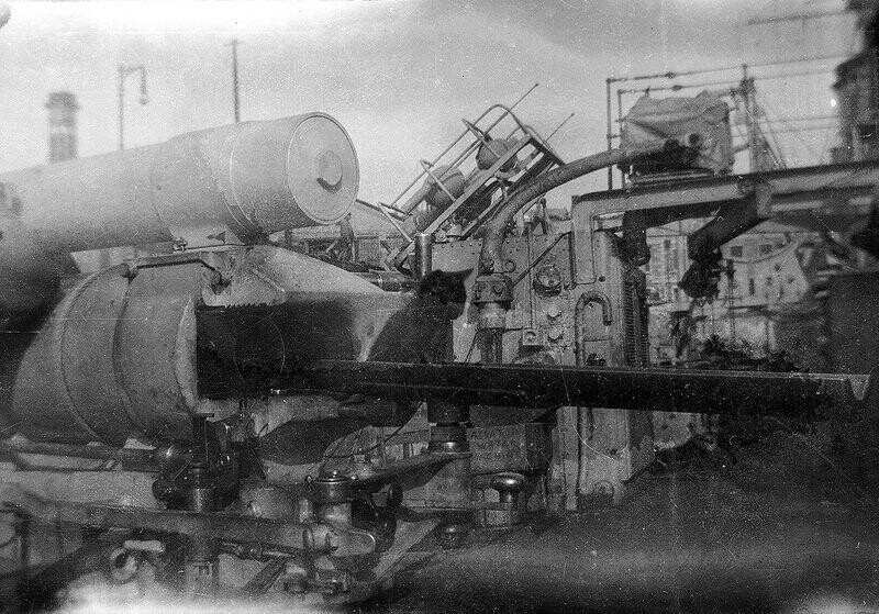 Котенок на корабле «Аврора», 1914 год.
