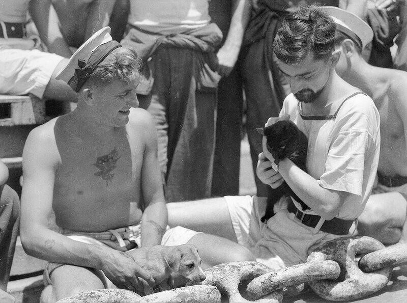 Старшие матросы Дж.Т.Уокер с песиком по кличке Шрапнель и Гэмбл с котом Сальво на борту корабля «Сидней» в 1940 году.