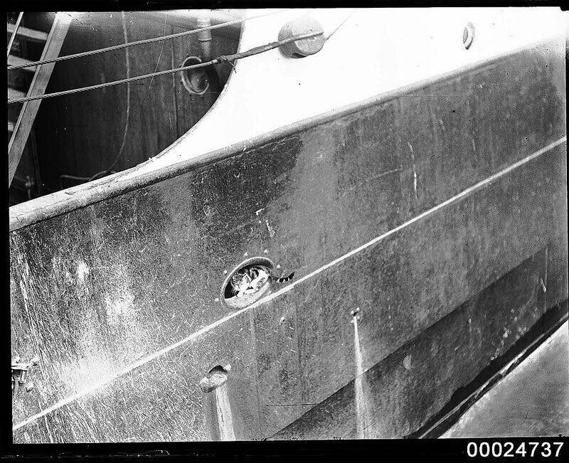 Кот в клюзе на барке «PAMIR», 1947 год.