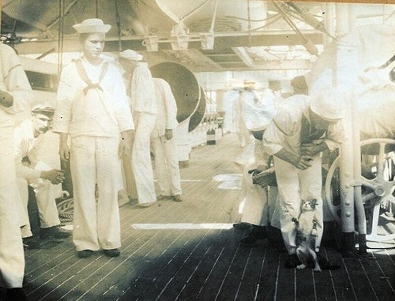 Моряки дрессируют кота на борту лайнера «Олимпия» в 1898 году.