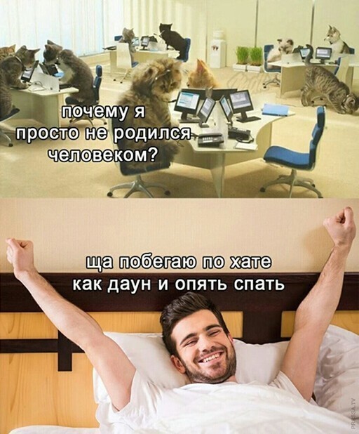 Смешные и познавательные картинки