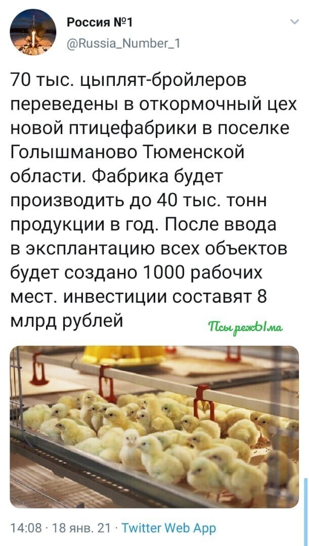 Политические скрины